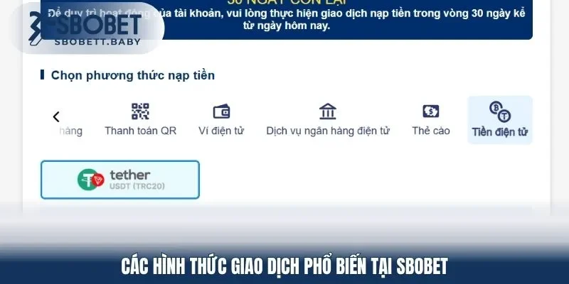 Các hình thức giao dịch phổ biến tại SBOBET