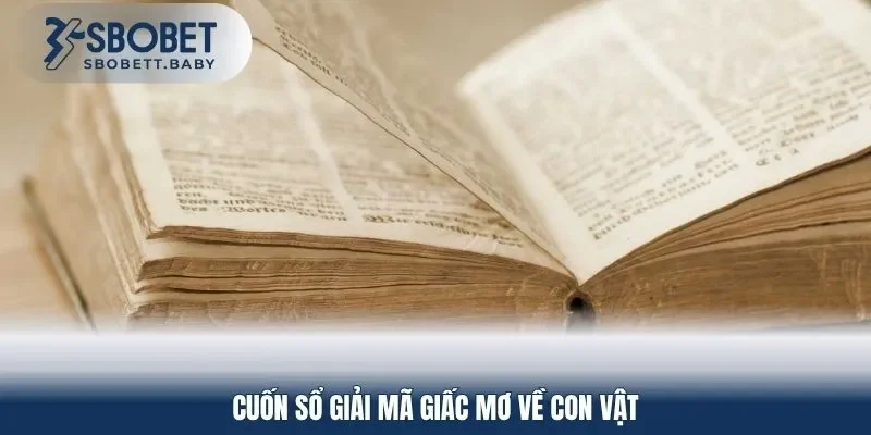 Cuốn sổ giải mã giấc mơ về con vật