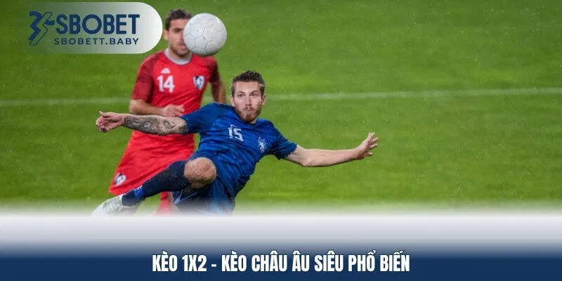 Kèo 1X2 - kèo Châu Âu siêu phổ biến 