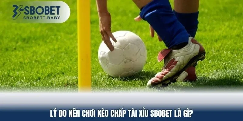 Lý do nên chơi kèo chấp tài xỉu SBOBET là gì?
