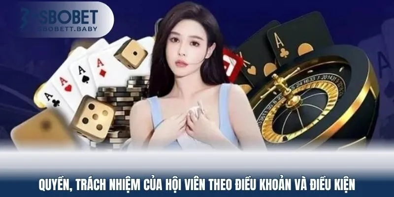 Quyền, trách nhiệm của hội viên theo điều khoản và điều kiện