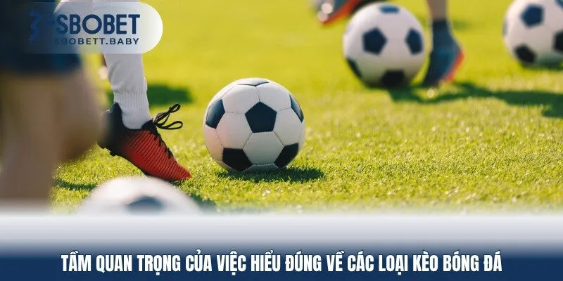 Tầm quan trọng của việc hiểu đúng về các loại kèo bóng đá