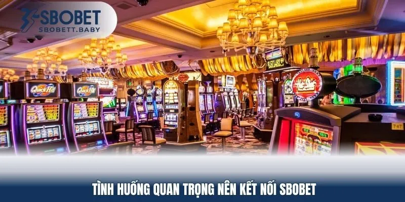 Tình huống quan trọng nên kết nối Sbobet