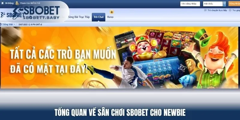 Tổng quan về sân chơi SBOBET cho newbie